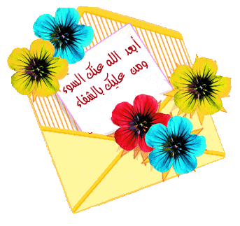 achifa achifa
