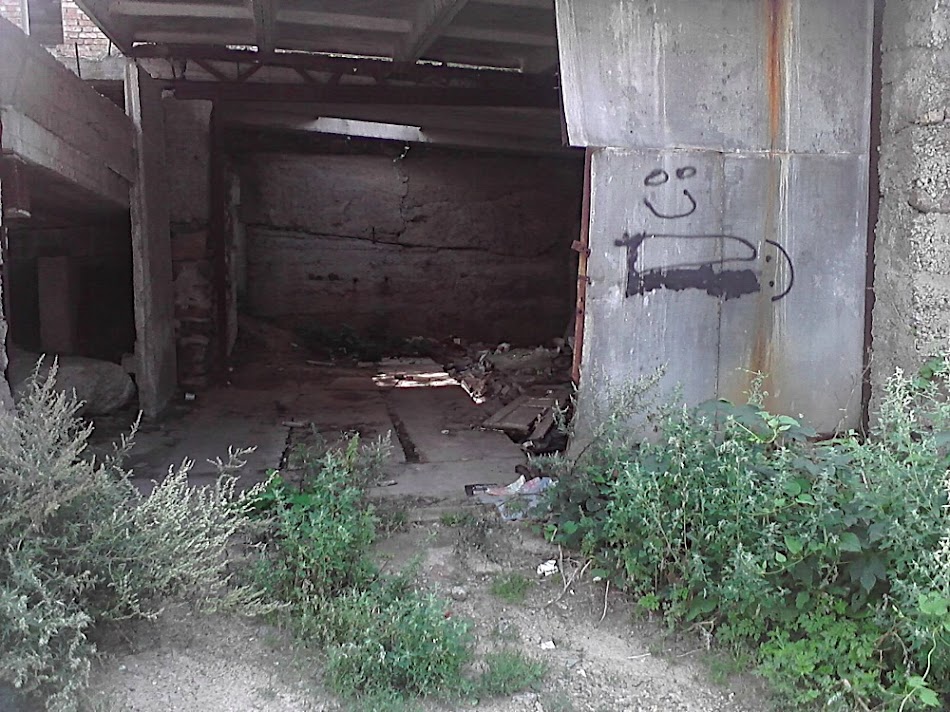 P300711_12.20.jpg