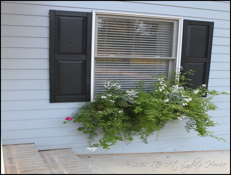 window box 9 window box 9