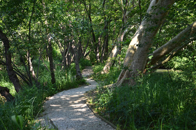 Oasi_Cervara_16.jpg Oasi Cervara 16