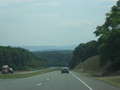 SDC12233 SDC12233