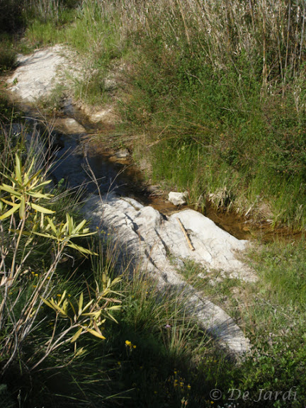 2013_04180052.jpg