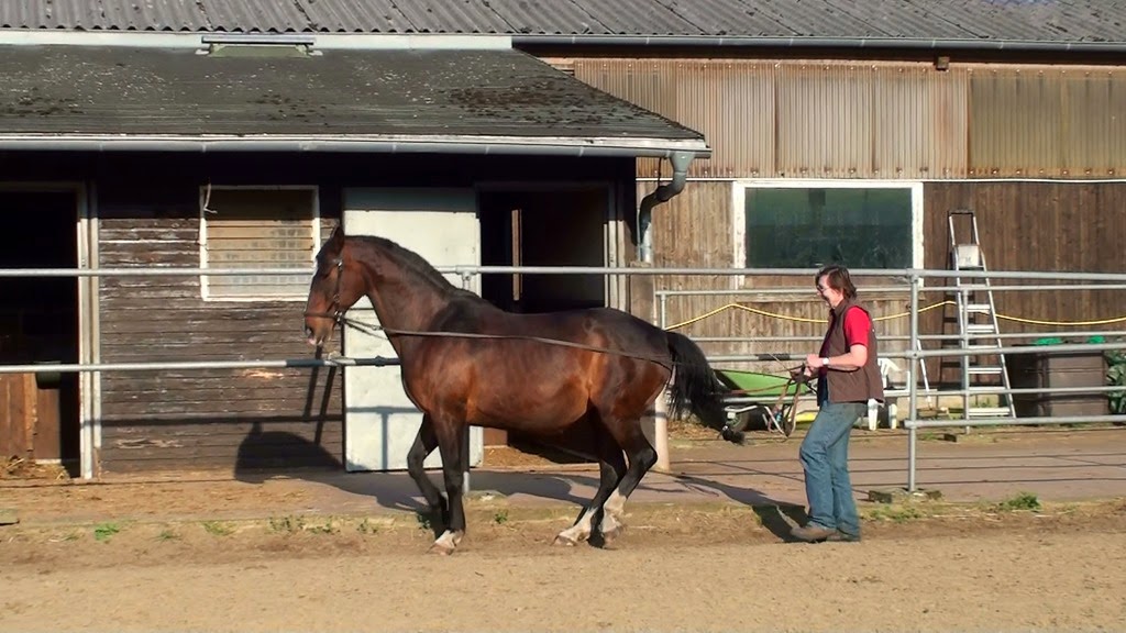 [20140428173621-%252810%2529%255B2%255D.jpg]