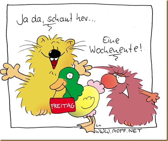 481Wochenenende 481Wochenenende