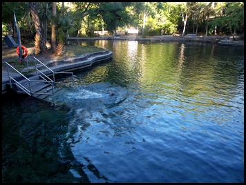 Wekiwa Springs State Park (231)