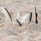 20100828_049_small.JPG