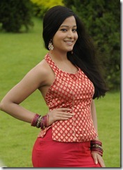 Priyudu Preetika Rao Hot Stills