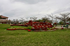IMG_2947 IMG_2947