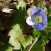 20100227_016