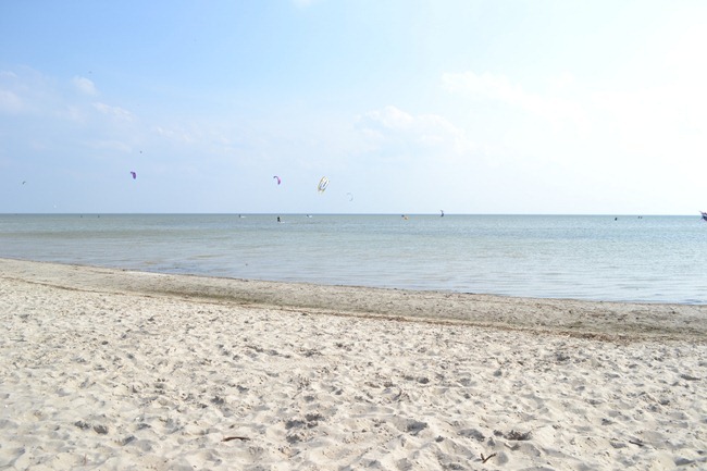 DSC_1190 DSC_1190