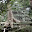 Cambodge- Angkor