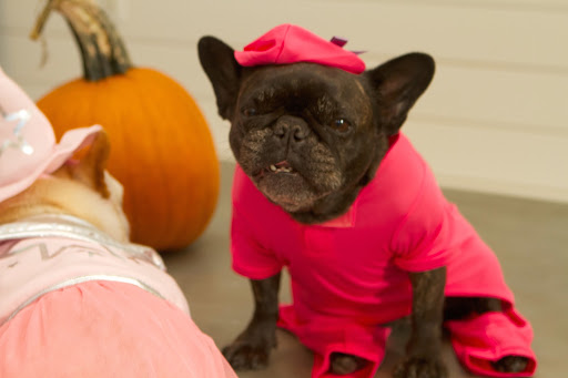 Now, can you possibly guess what I'm wearing?