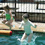May 29 2010 006.jpg May 29 2010 006.jpg