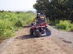 p1238455387(9).jpg