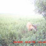 MDGC0213.JPG
