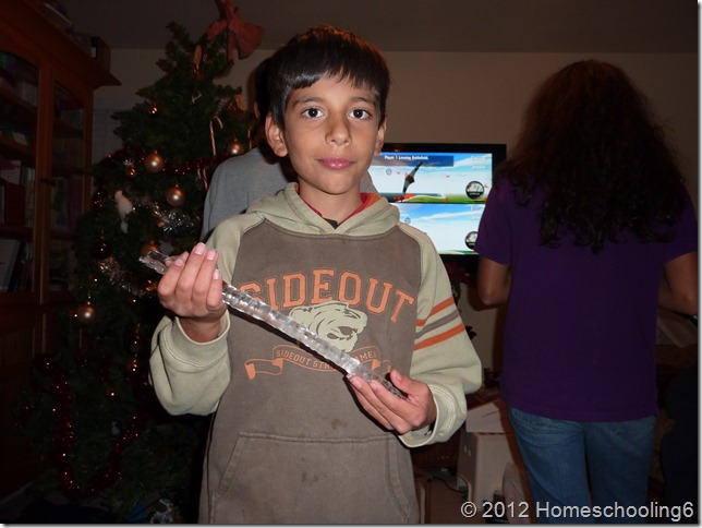Merry CHRISTmas 12.28.12 097