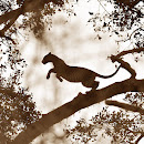 20111116061112_28857.jpg 20111116061112_28857.jpg