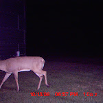 MDGC0010.JPG