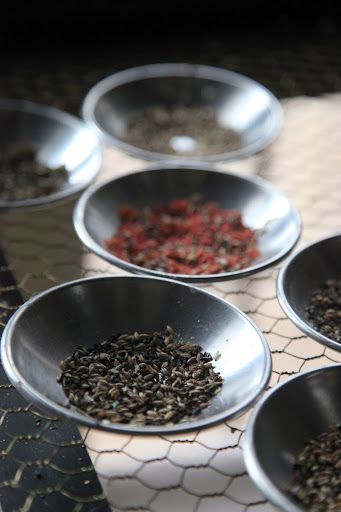 We love eating seeds and are given a nice variety.