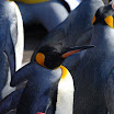 hokkaido_320.jpg