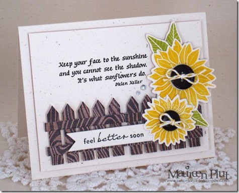 sunflowers sunflowers