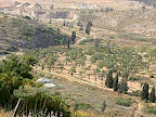 p1238559457(7).jpg