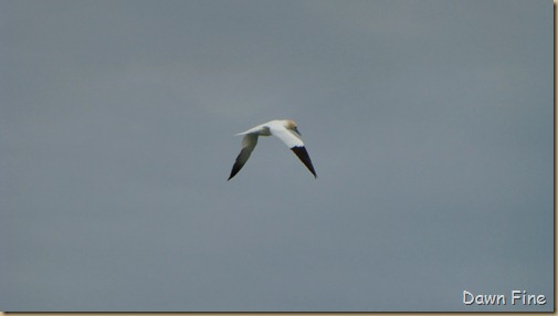 Edisto Beach State Park_014