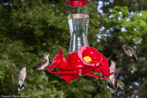 [130512_E-16%255B4%255D.jpg]