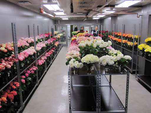 A picture of the shop. Anyone can stop by to see their showcase of their 2011 rose collection  -- the last day is today (Wednesday January 12, 2011).
