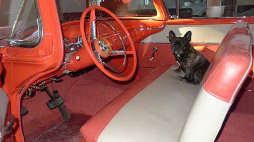 Hello!  I'm sitting in a very special vintage 1958 car in the garage at Skylands.  You may know that Edsel Ford built Skylands, but he also was responsible for a line of Ford cars, called Edsels.