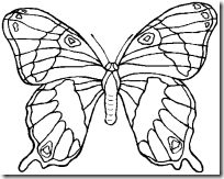 mariposa 1