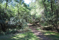 DSC_0776.JPG Photo