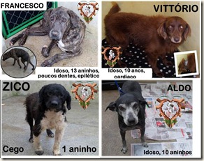 abeac_resgatados (4) abeac_resgatados (4)
