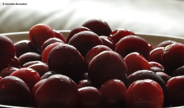 [DSC_0413%255B3%255D.jpg]
