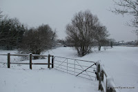 IMG_4786.JPG Photo