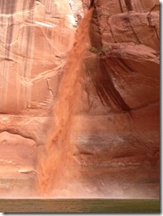 IMG_0736 IMG_0736