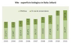 viticoltura biologica map