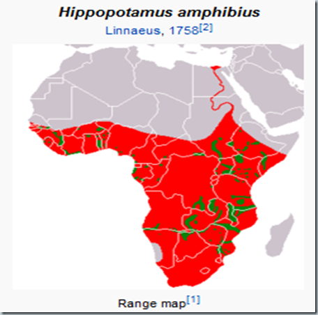 Hippopotamus - Wikipedia, the free encyclopedia-122050