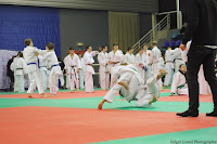IMG_2468.jpg
