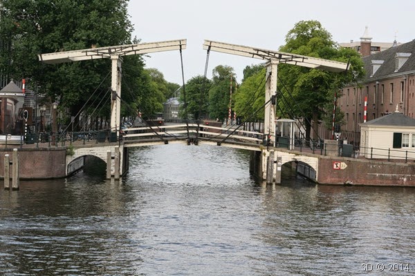 IMG_7326 IMG_7326