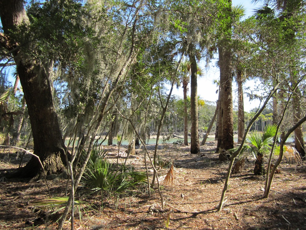 [11%2520more%2520woods%255B3%255D.jpg]