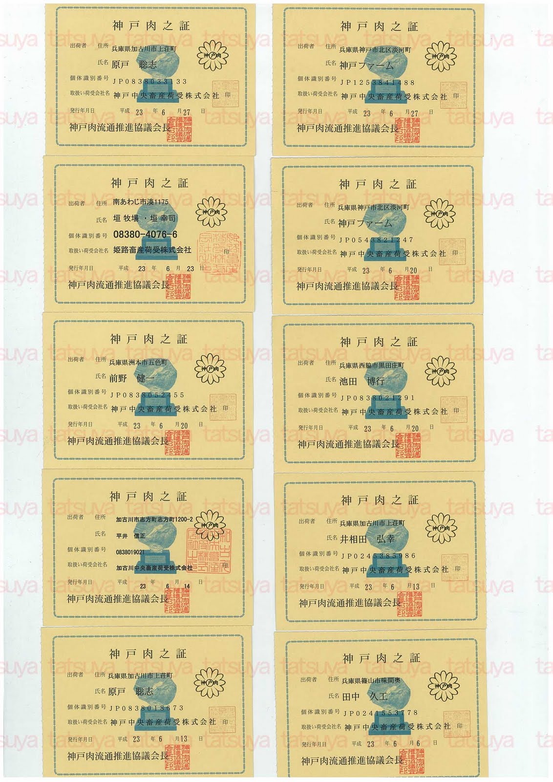 [LOT-11070601-%25231.jpg]