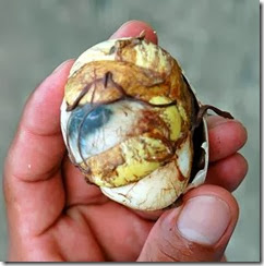 balut