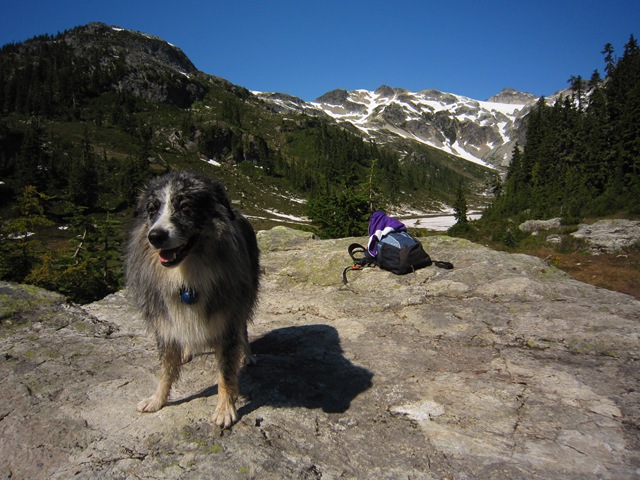 [IMG_57054.jpg]