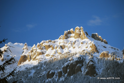 DSC_2245.jpg