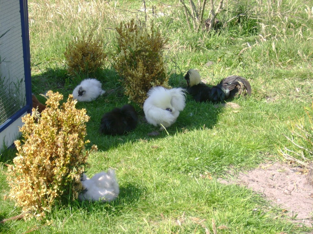OTT 2010 NK + vogel 2010 196.jpg