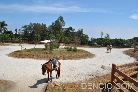 Tagaytay Sky Ranch 04