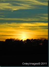 IMG_7087 IMG_7087