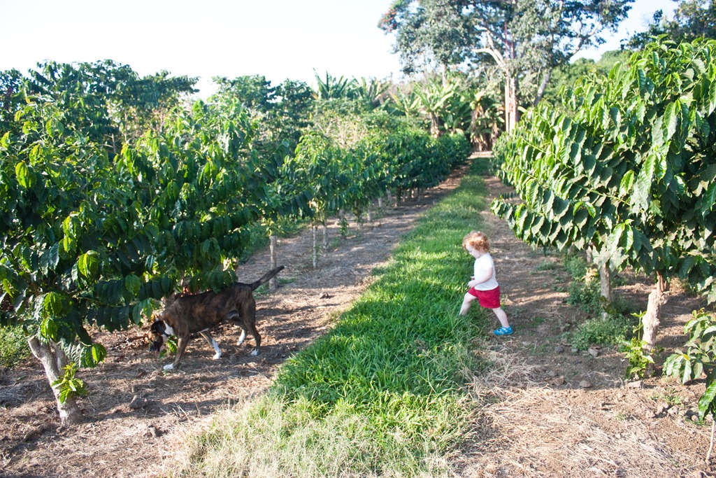 [20121216-IMG_45804.jpg]