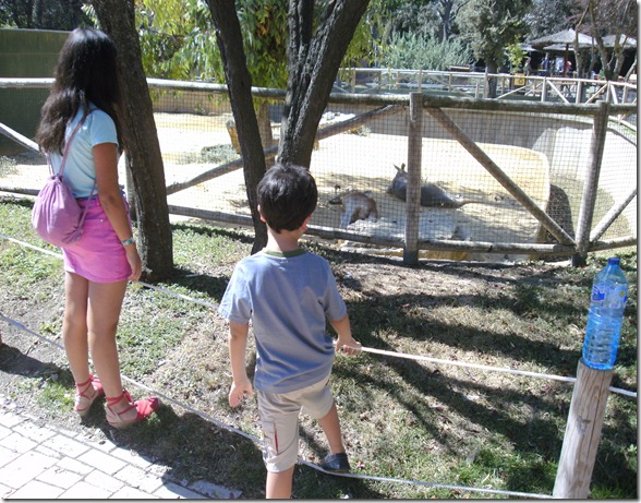 BILD0248 BILD0248